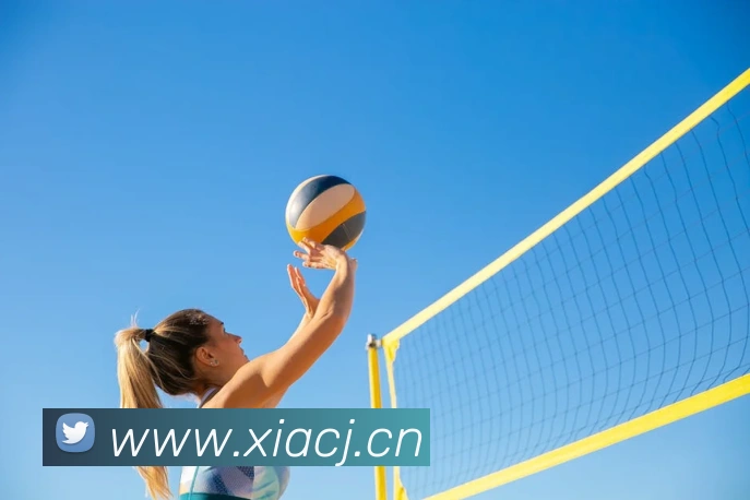 App Interface Preview